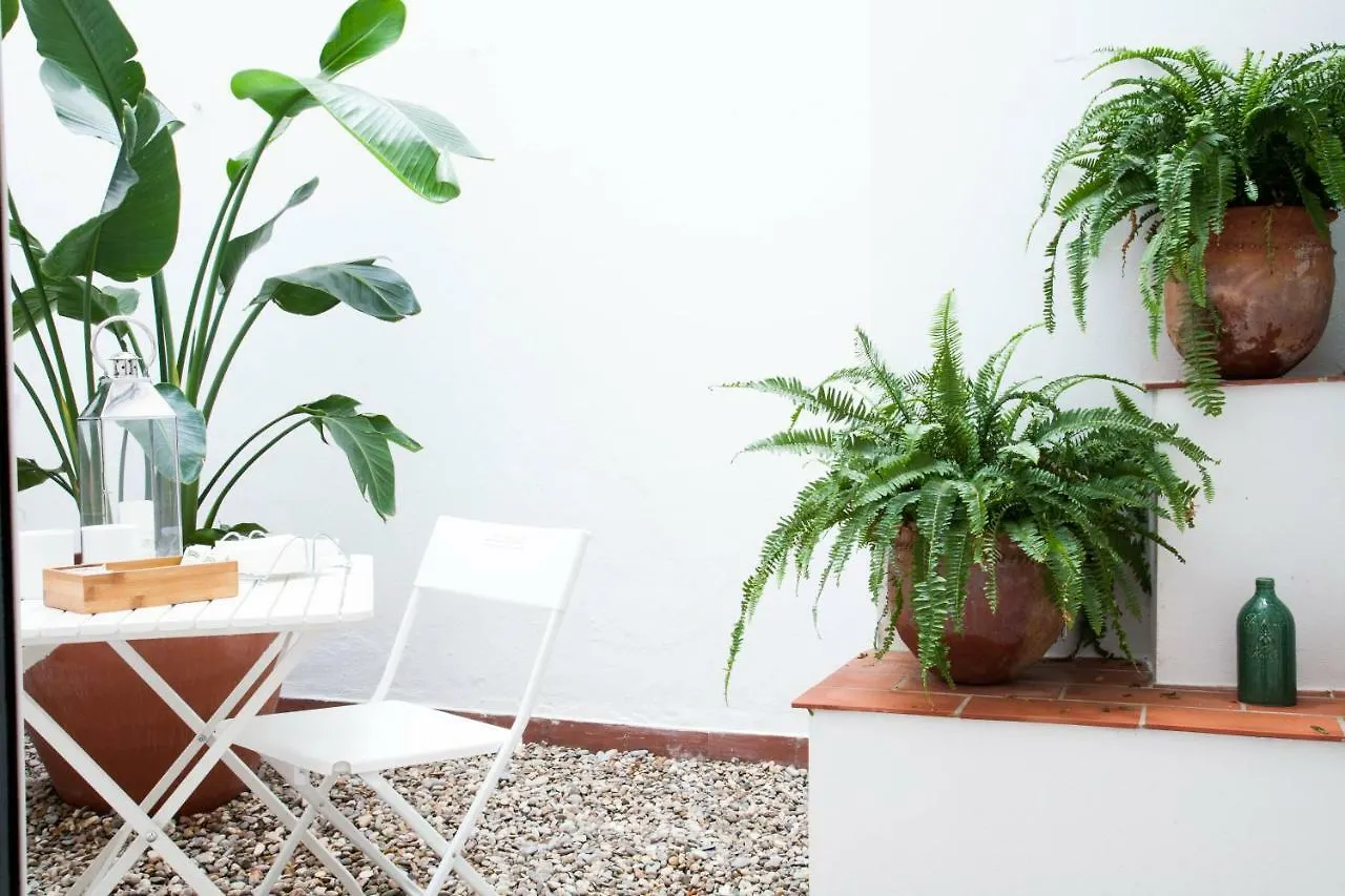 Entrenaranjos Apartment Cordoba Spain